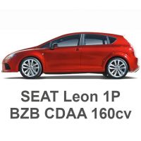 SEAT Leon 1P 1.8 TFSI 160cv BZB CDAA 2007-2012