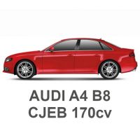 AUDI A4 B8 1.8 TFSI 170cv CJEB 2011-2015